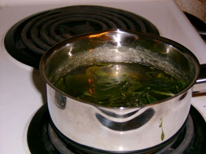 making a plantain cream